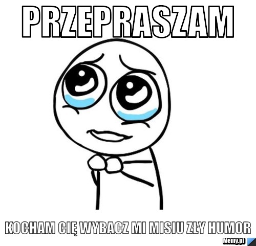 PRZEPRASZAM KOCHAM CIĘ WYBACZ MI MISIU ZŁY HUMOR