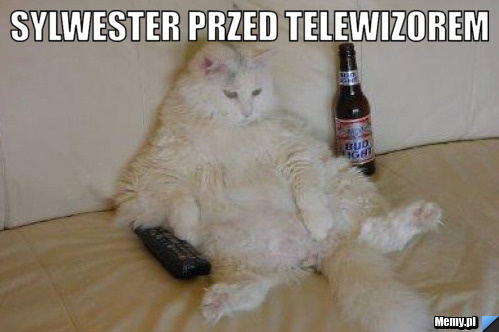 Sylwester przed telewizorem 