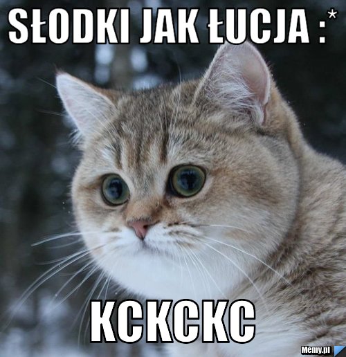 Słodki jak łucja :*  kckckc 