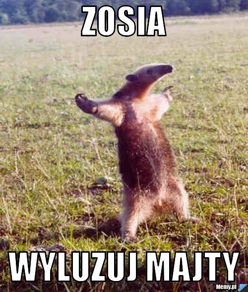 Zosia wyluzuj majty