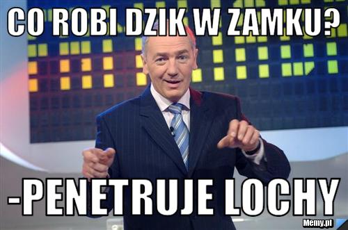 Co robi dzik w zamku? -Penetruje LOCHY
