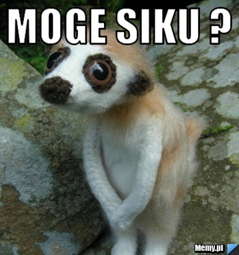 Moge siku ? 