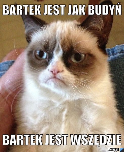 Bartek jest jak budyń bartek jest wszędzie