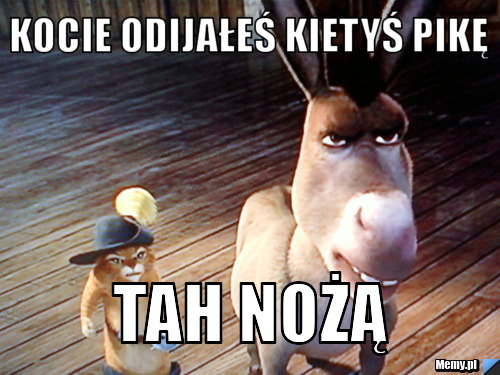 Kocie odijałeś kietyś pikę tah nożą