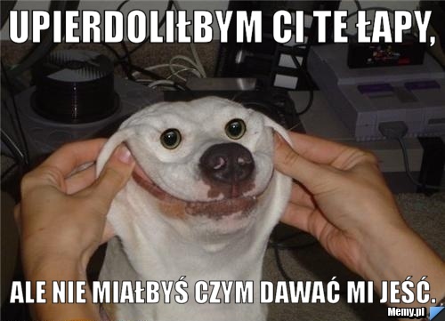 Upierdoliłbym ci te łapy, ale nie miałbyś czym dawać mi jeść.
