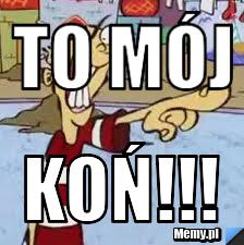 To mój koń!!!