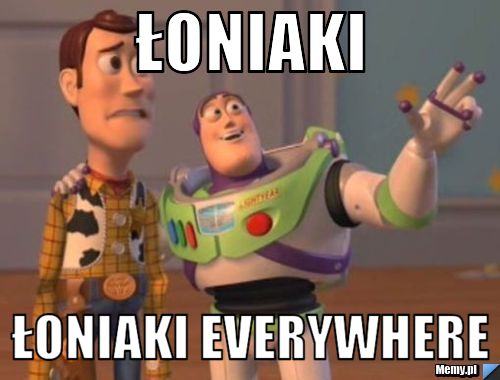 ŁONIAKI ŁONIAKI EVERYWHERE