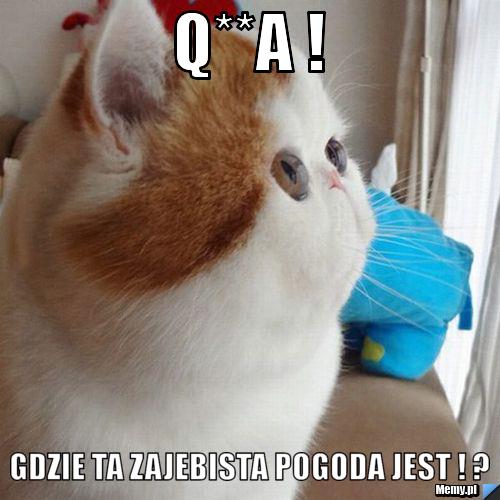 Q**A ! Gdzie ta zajebista pogoda jest ! ?