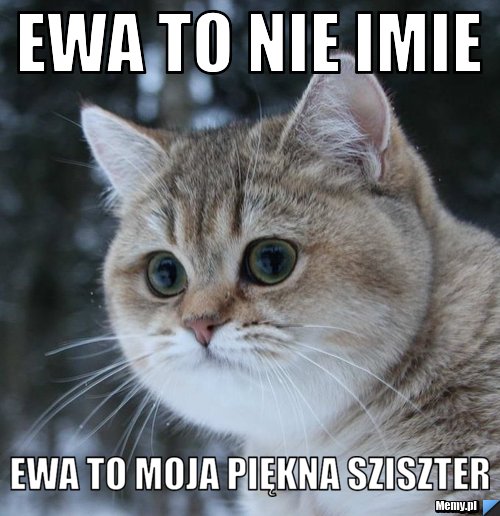 EWA TO NIE IMIE EWA TO MOJA PIĘKNA SZISZTER 