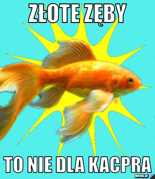 ZŁOTE ZĘBY  TO NIE DLA KACPRA