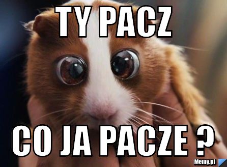 Ty pacz Co ja pacze ?