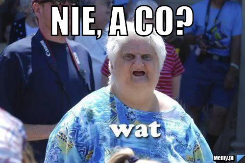 NIE, A CO? 