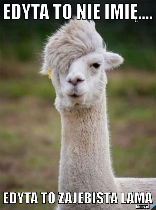 Edyta to nie imię.... Edyta to zajebista Lama
