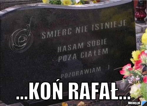                                                                 ...koń rafał...