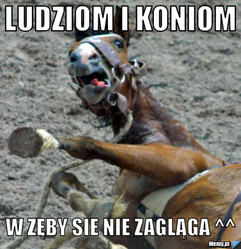 Ludziom i koniom w zęby sie nie zagląga ^^