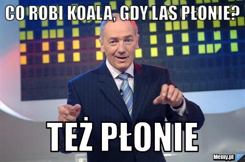 Co robi Koala, gdy las płonie? Też płonie