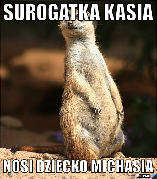 Surogatka kasia nosi dziecko michasia