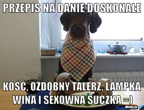 Przepis na danie doskonałe kość, ozdobny talerz, lampka wina i sexowna suczka =)