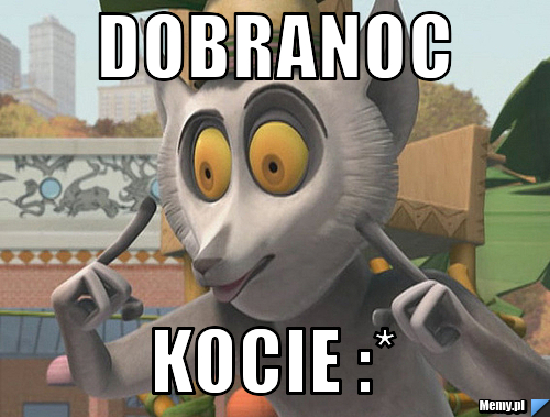 Dobranoc Kocie :*