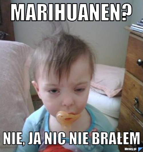 MARIHUANEN? NIE, JA NIC NIE BRAŁEM