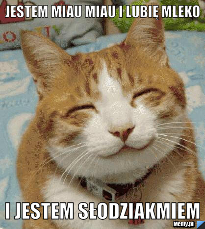 Jestem miau miau i lubię mleko i jestem słodziakmiem