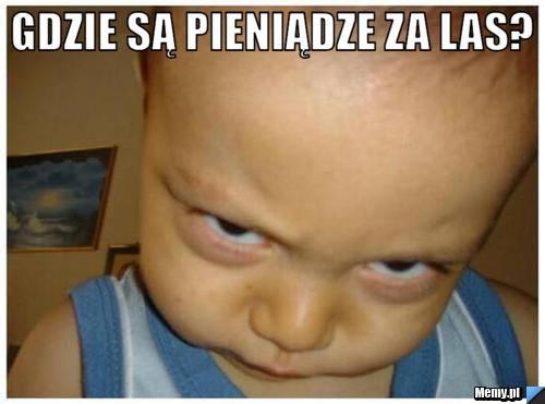 Gdzie są pieniądze za las? 