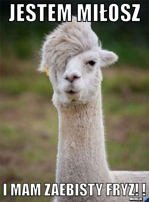 Jestem Miłosz  i mam zaebisty FRyz! ! 