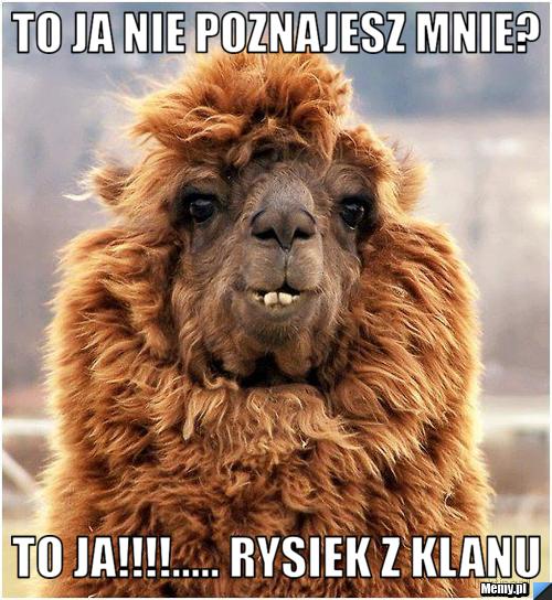 To ja nie poznajesz mnie? to ja!!!!..... Rysiek z klanu 