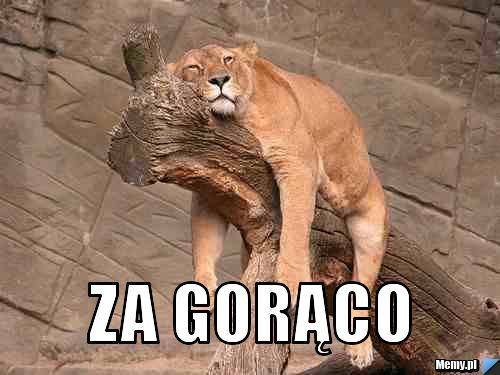  Za gorąco