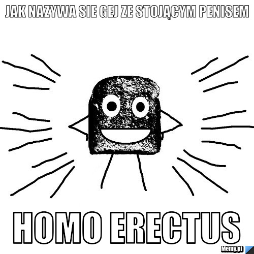 Jak nazywa sie gej ze stojącym penisem homo erectus