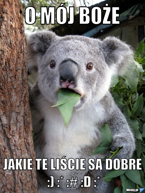 O mój boże jakie te liście są dobre :) :* :# :D :*