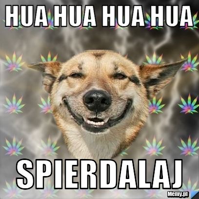 Hua hua hua hua spierdalaj