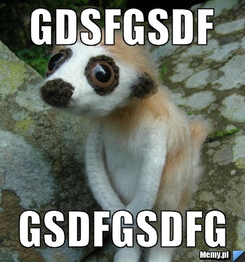 Gdsfgsdf gsdfgsdfg