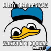 Kiedy trzeba siana zadzwoń po bociana