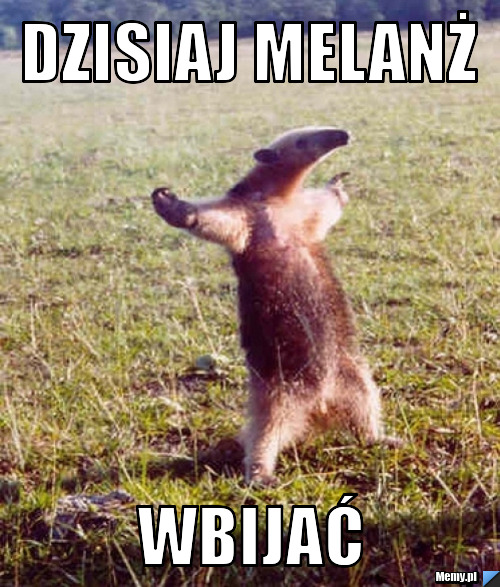 Dzisiaj Melanż  wbijać 