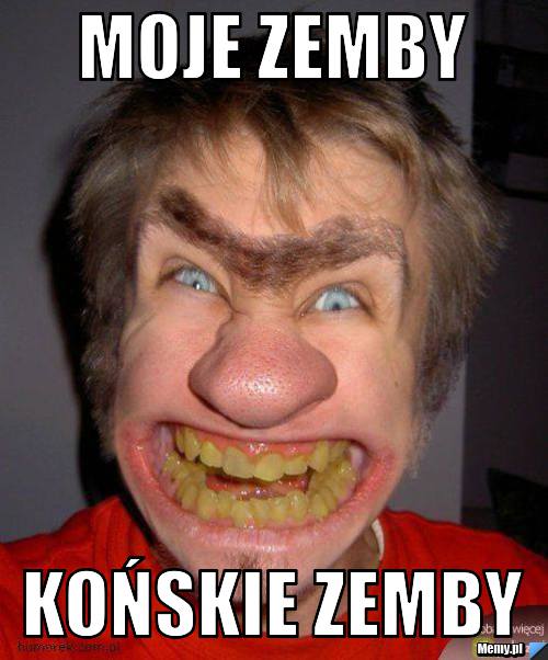 Moje zemby KOŃSKIE ZEMBY