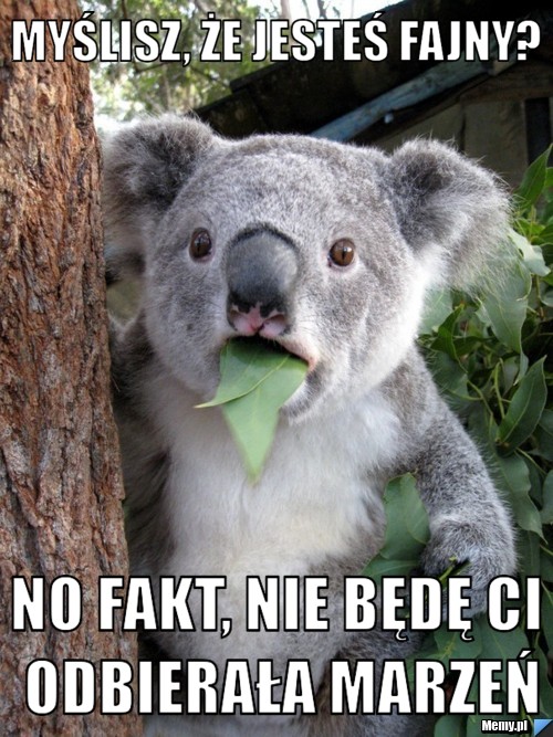 Myślisz, że jesteś fajny?  no fakt, nie będę Ci odbierała marzeń