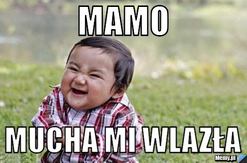 Mamo mucha mi wlazła