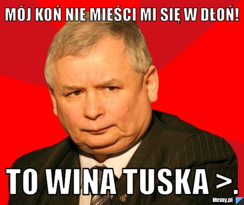 Mój koń nie mieści mi się w dłoń! To wina tuska >.
