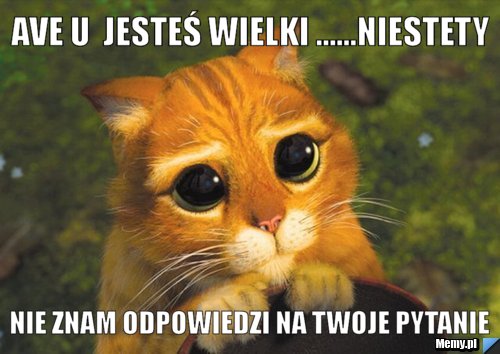 AVE U  JESTEŚ WIELKI ......NIESTETY NIE ZNAM ODPOWIEDZI NA TWOJE PYTANIE
