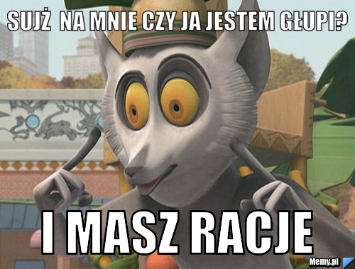 Sujż  na mnie czy ja jestem głupi? i masz racje