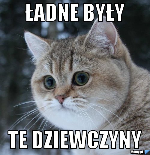 Ładne Były  te dziewczyny