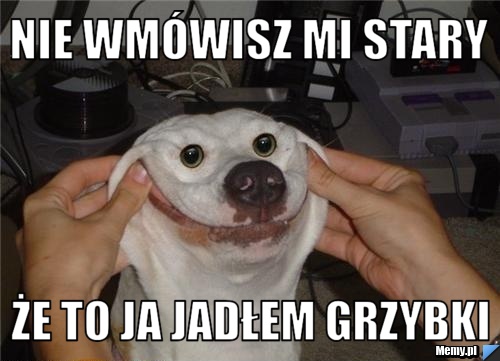 Nie wmówisz mi stary  że to ja jadłem grzybki