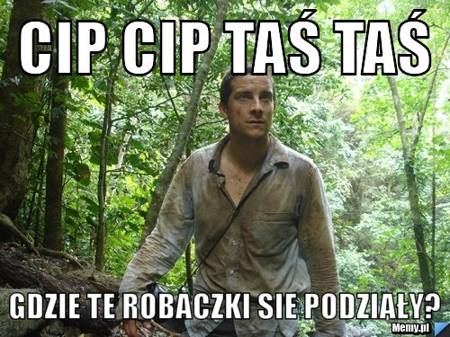 Cip cip taś taś Gdzie te robaczki sie podziały?