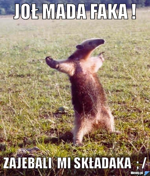 Zajebali  mi sk?adaka  ; /  zajebali  mi składaka  ; / 