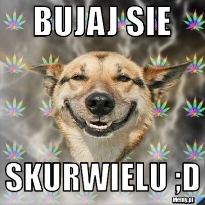 Bujaj sie skurwielu ;D