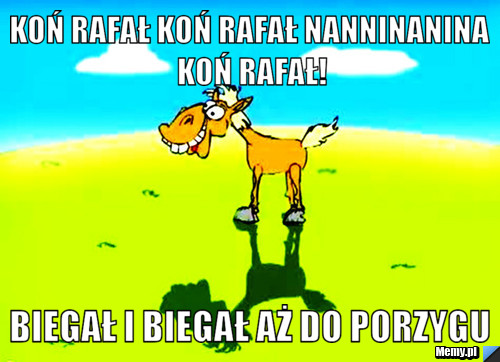 Koń rafał koń rafał nanninanina koń rafał! biegał i biegał aż do porzygu