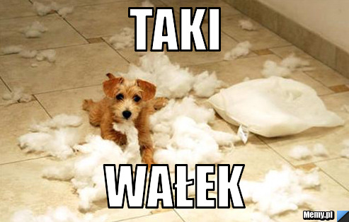 TAKI WAŁEK