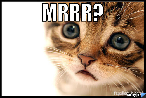 Mrrr? 