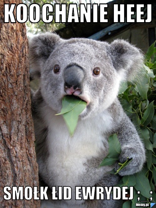 Koochanie heej Smołk łid ewrydej ;_;